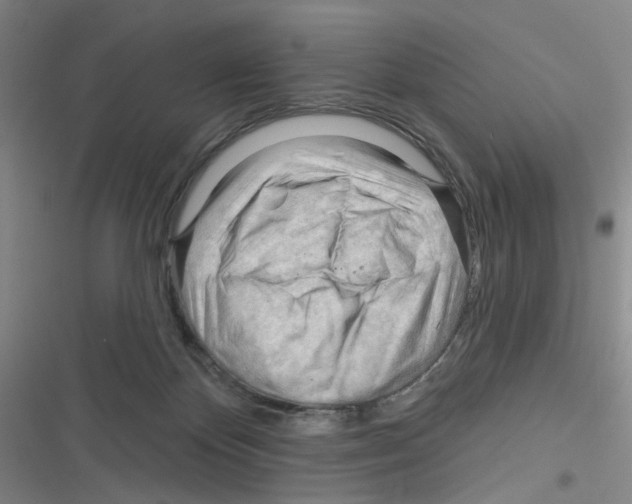 X0000116340124201001131053