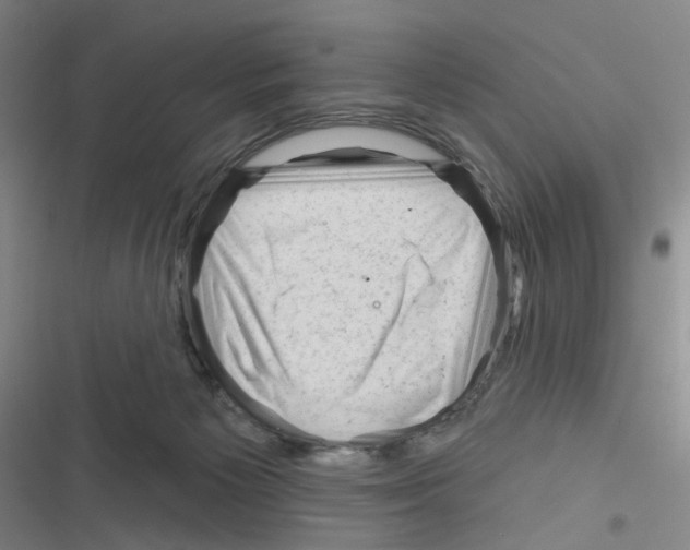 X0000116340125201001131053