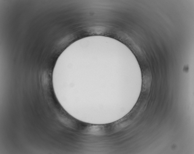 X0000116340126201001131053