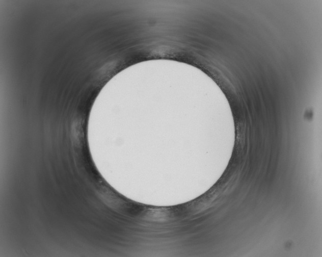 X0000116340127201001131053