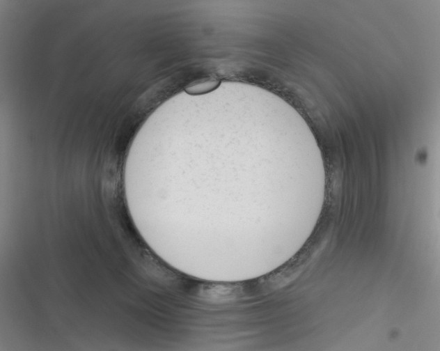 X0000116340129201001131053