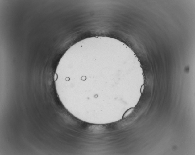 X0000116340133201001131053