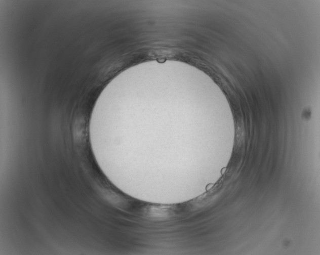 X0000116340134201001131053