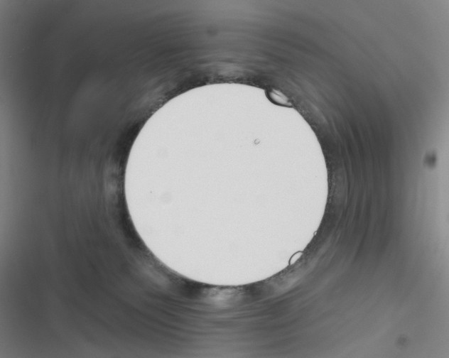 X0000116340135201001131053