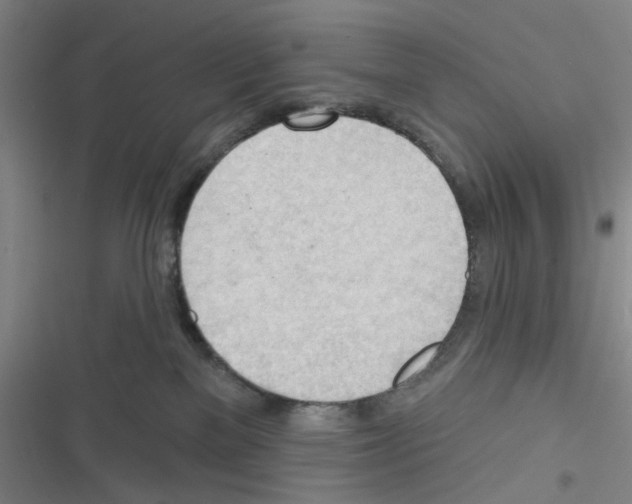 X0000116340137201001131053