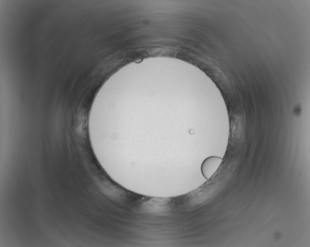 X0000116340138201001131053