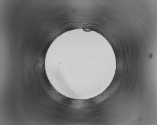 X0000116340139201001131053