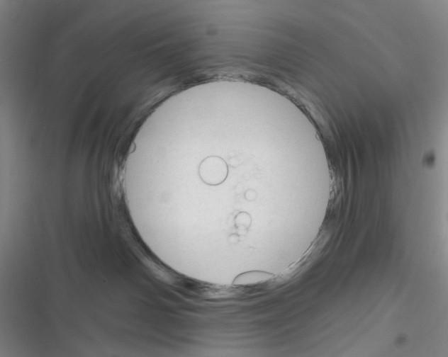 X0000116340142201001131053