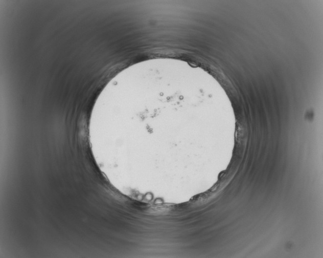 X0000116340143201001131053