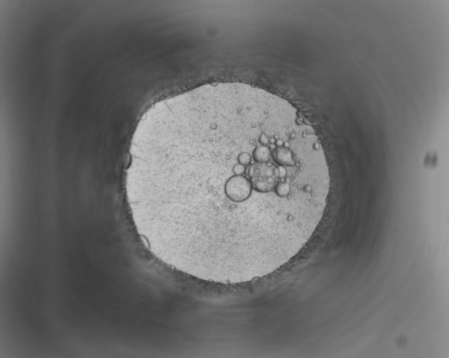 X0000116340144201001131053