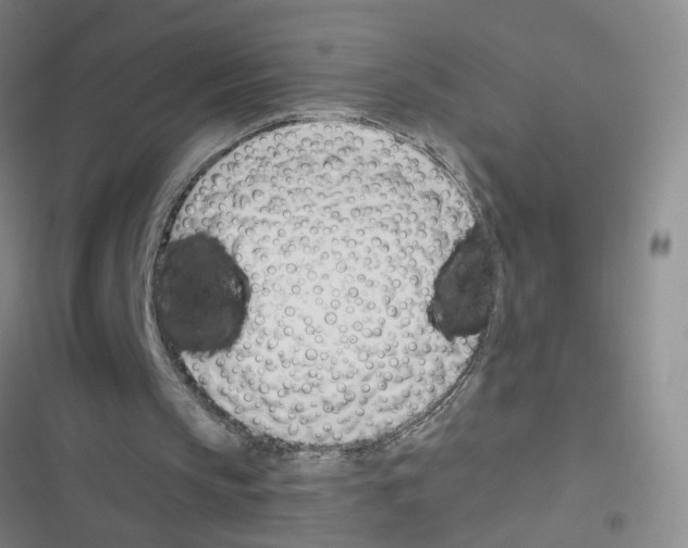 X0000116340145201001131052