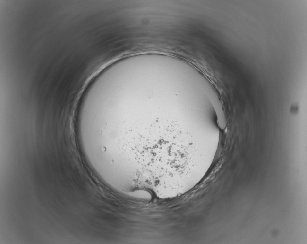 X0000116340146201001131052