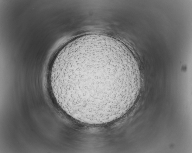 X0000116340149201001131052