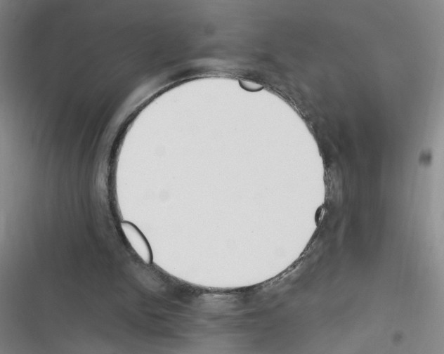 X0000116340150201001131052