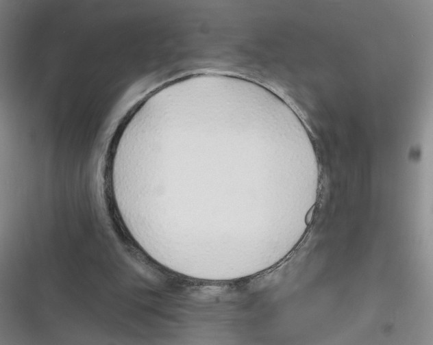 X0000116340151201001131052