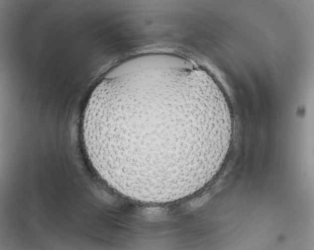 X0000116340153201001131052