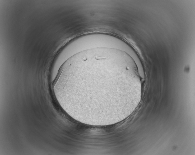 X0000116340154201001131052