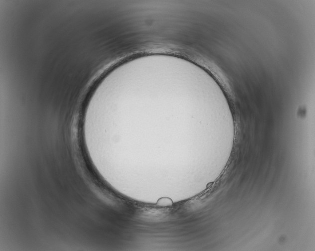 X0000116340155201001131052