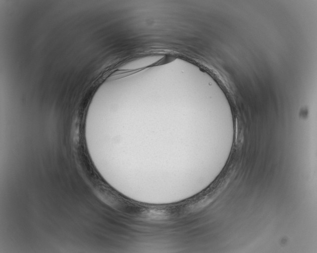 X0000116340157201001131052