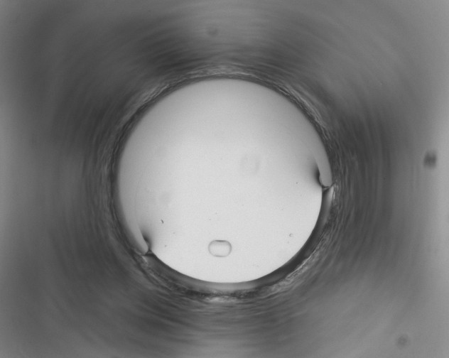 X0000116340158201001131052