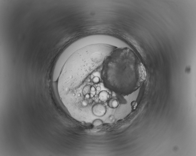 X0000116340161201001131052