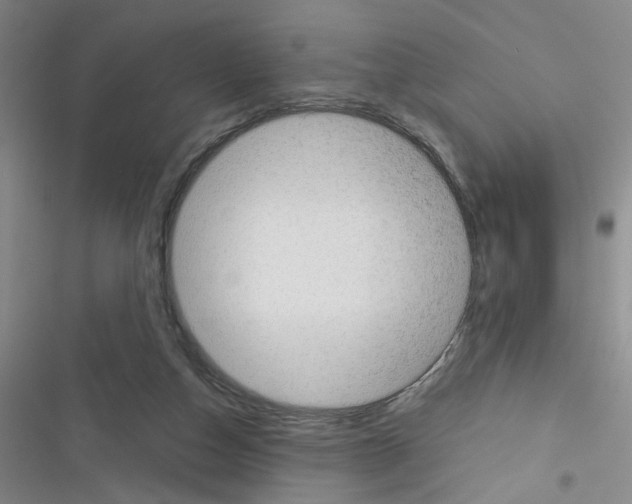 X0000116340162201001131052