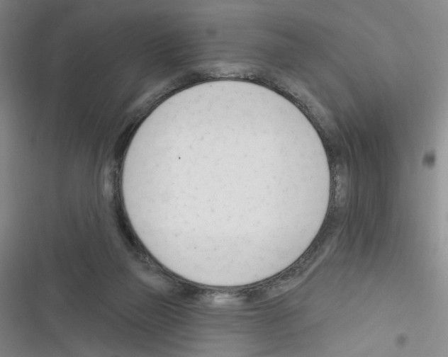 X0000116340165201001131053