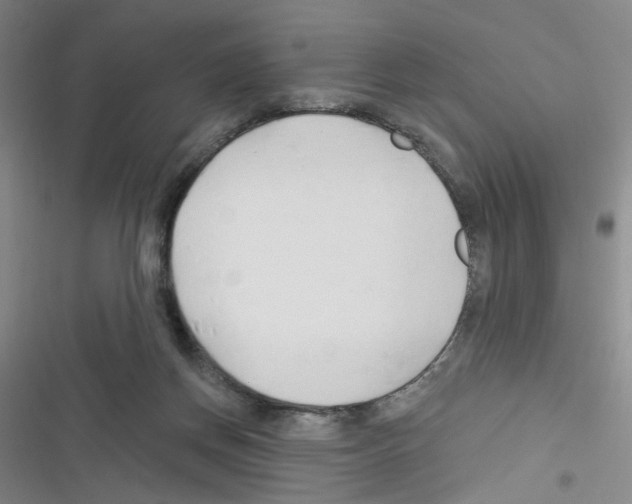 X0000116340166201001131053