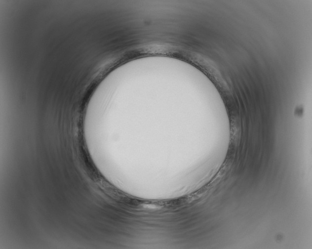 X0000116340167201001131053