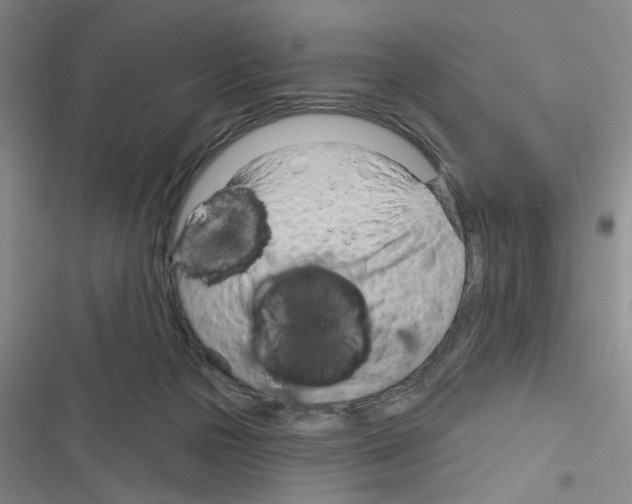 X0000116340169201001131053