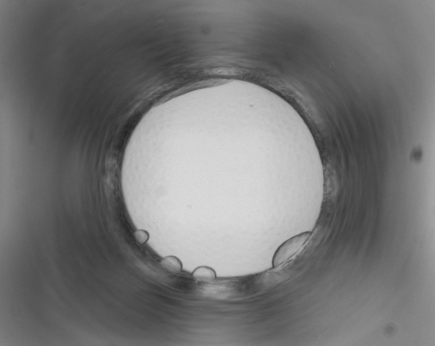 X0000116340171201001131053