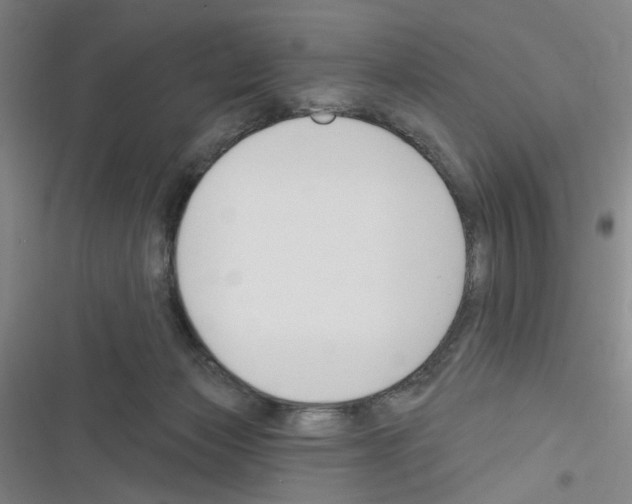 X0000116340173201001131053