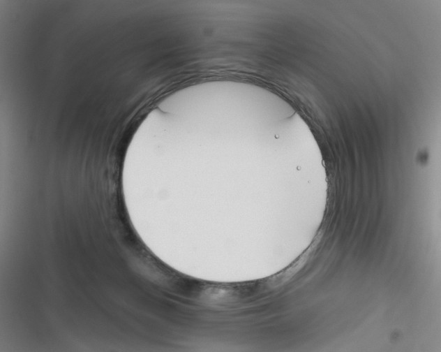 X0000116340174201001131053