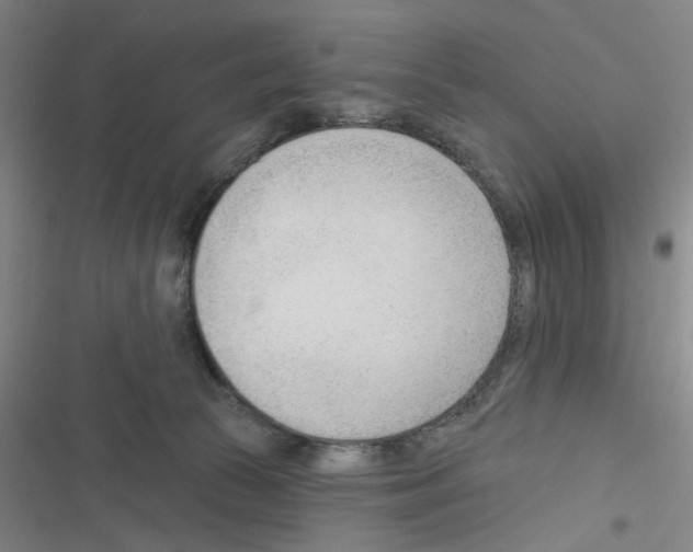 X0000116340177201001131053