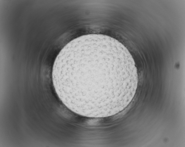 X0000116340178201001131053