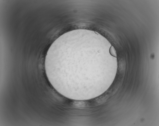 X0000116340181201001131053