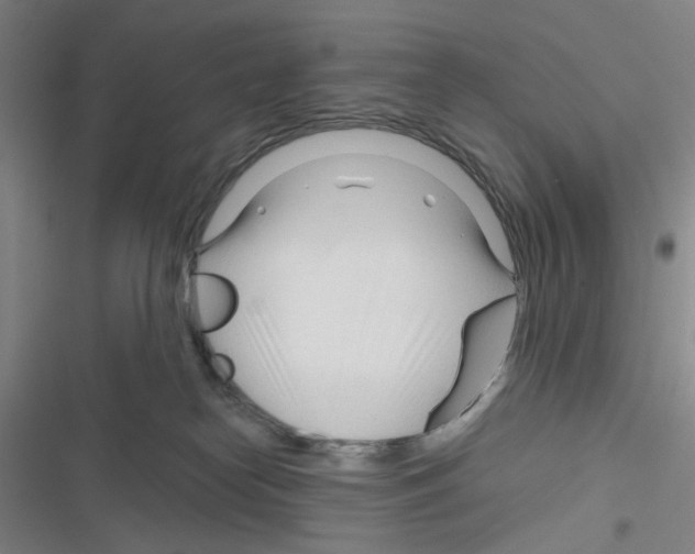 X0000116340182201001131053