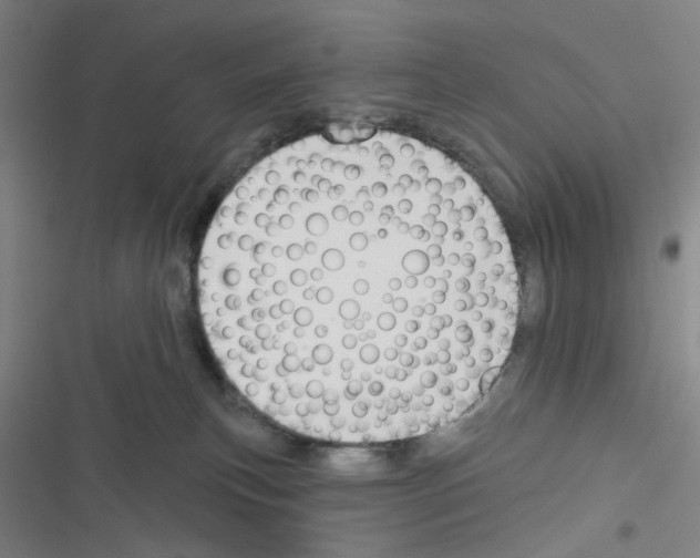 X0000116340183201001131053