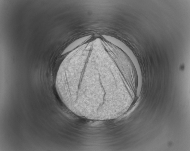 X0000116340186201001131053