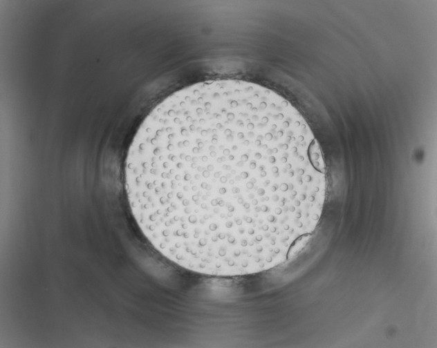 X0000116340187201001131053