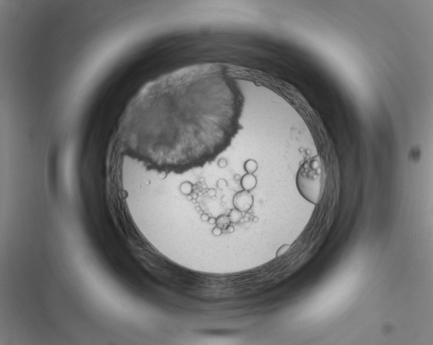 X0000116340189201001131053