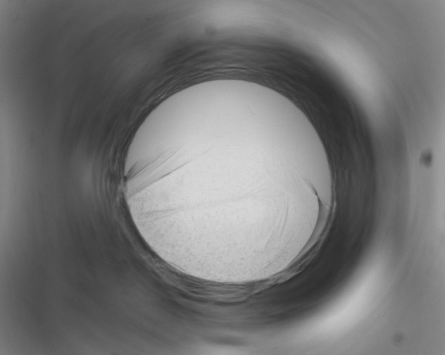 X0000116340190201001131053