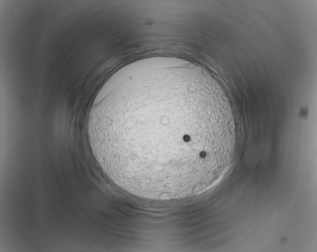 X0000116340191201001131053