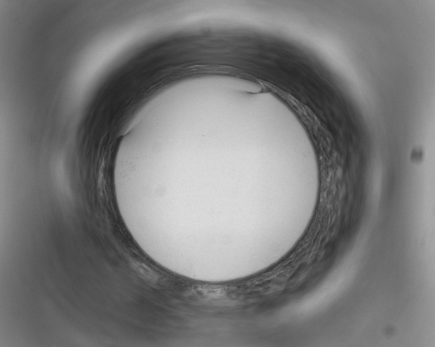 X0000116340194201001131052