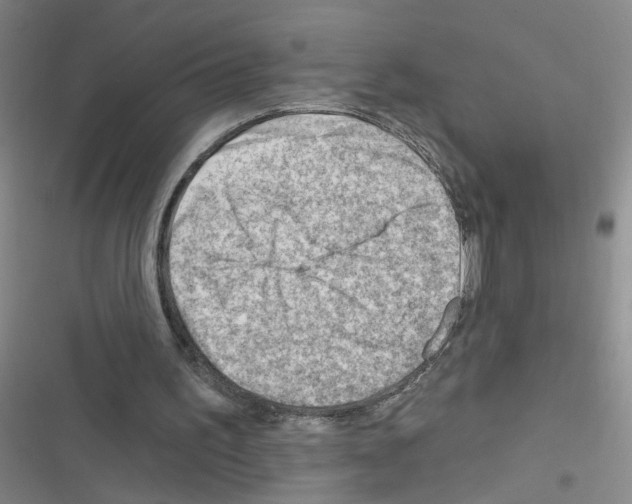 X0000116340195201001131052