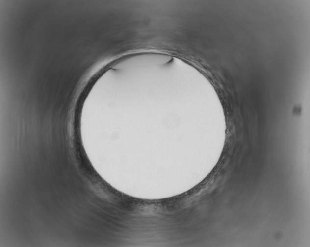 X0000116340200201001131052