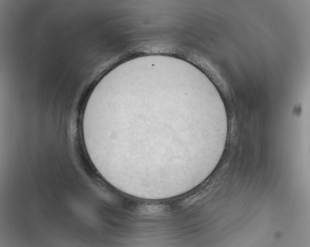 X0000116340202201001131052