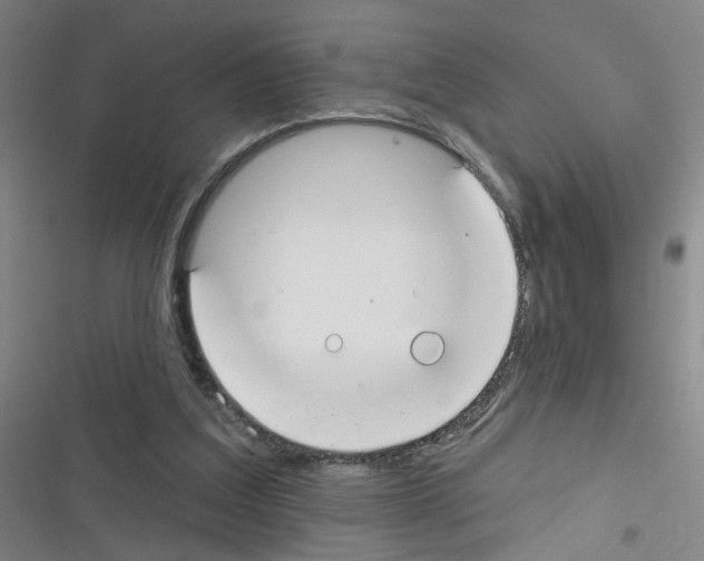 X0000116340203201001131052