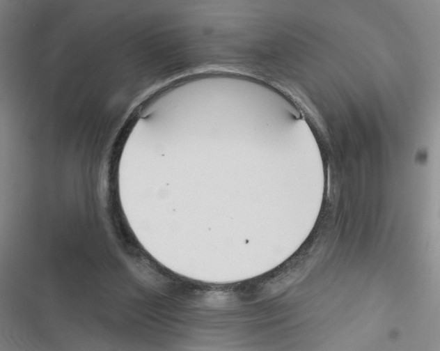 X0000116340204201001131052