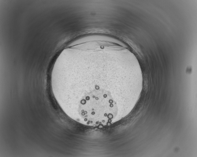 X0000116340207201001131052